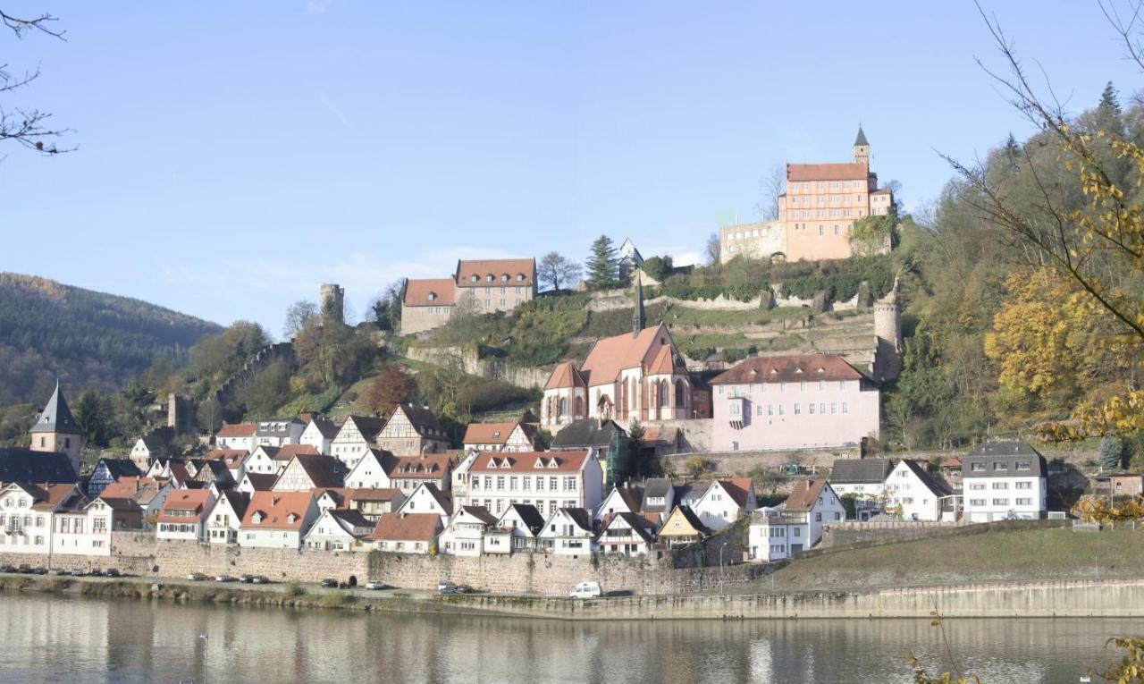 Ferienwohnung Christel Hirschhorn-Neckar Bagian luar foto