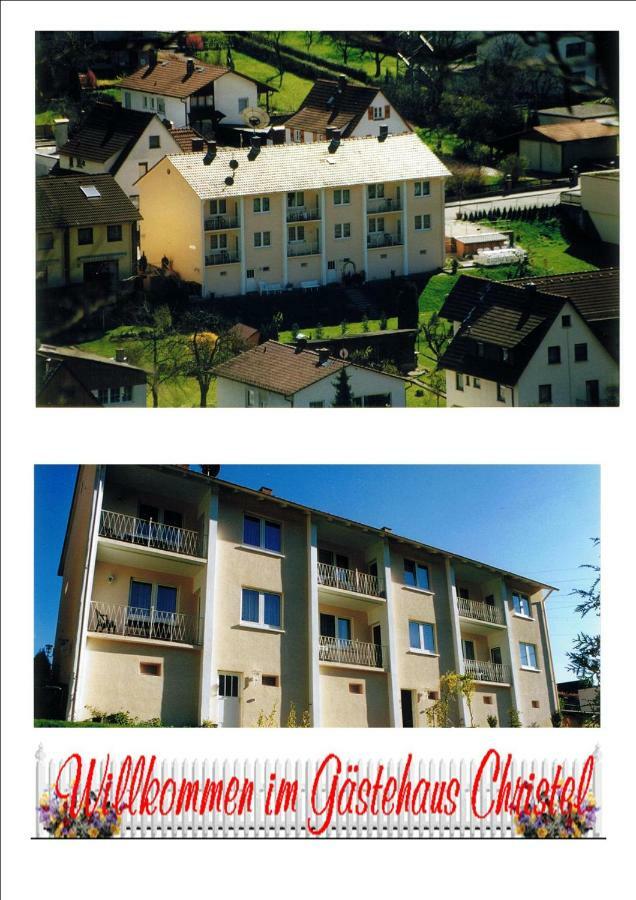 Ferienwohnung Christel Hirschhorn-Neckar Bagian luar foto
