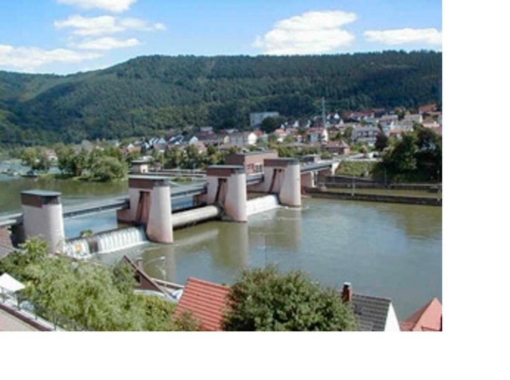Ferienwohnung Christel Hirschhorn-Neckar Bagian luar foto