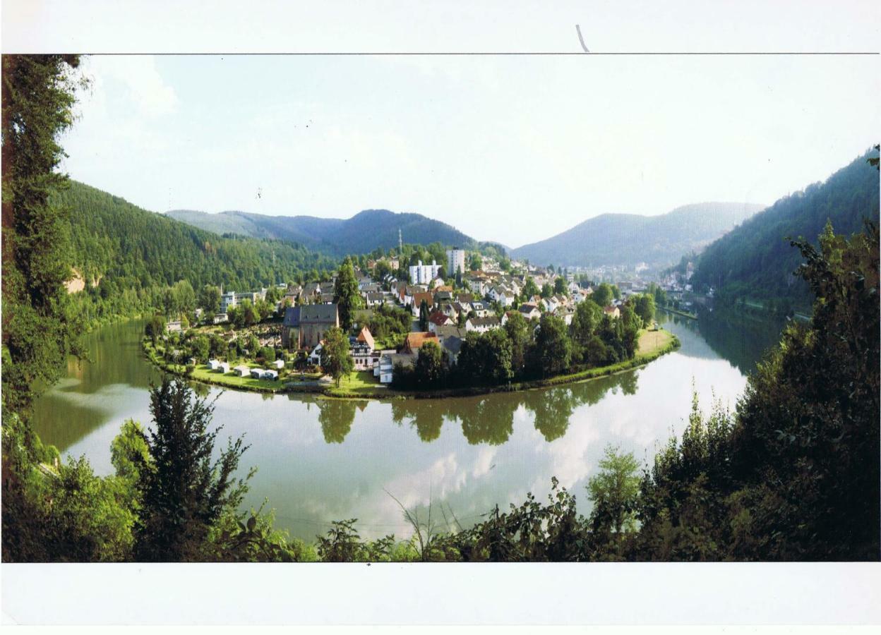 Ferienwohnung Christel Hirschhorn-Neckar Bagian luar foto